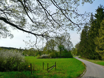 A spring walk down Annerovgen
