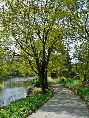 Along the little river