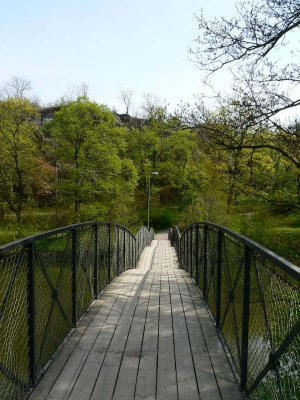 The bridge