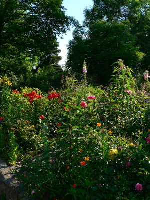 Mixed borders
