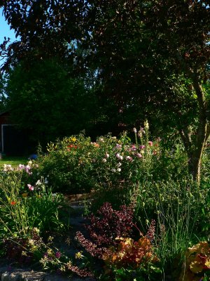 Mixed borders