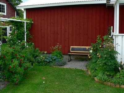 My garden at the backside of the house