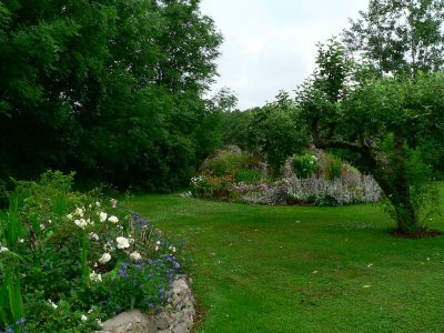 My parents lawn