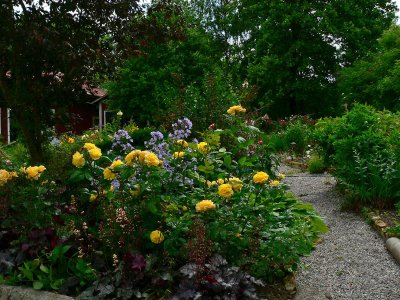 Mixed borders