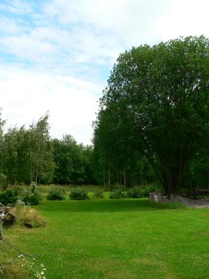 The backyard