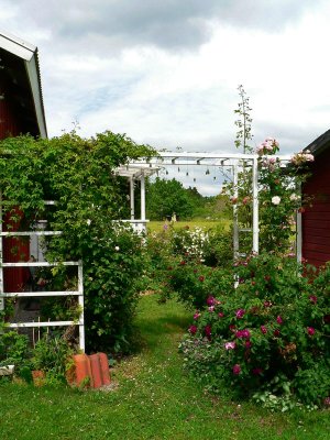 The entrance to my garden at the backside of my house