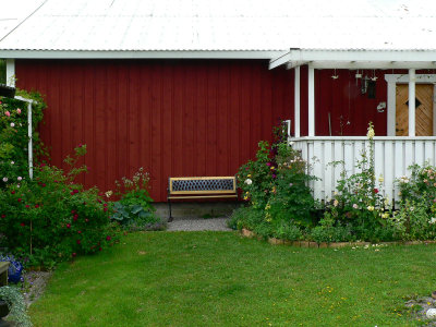 My garden at the backside of the house