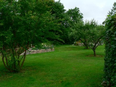 The lawn