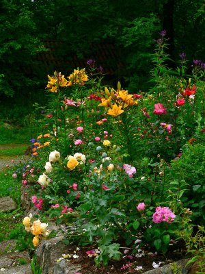 Mixed border