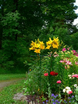 Mixed border