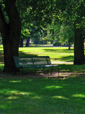 The park