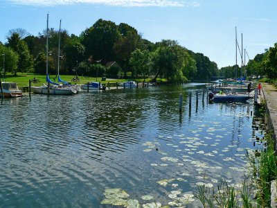 The marina