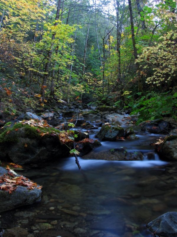 Little Grider creek autumn colors