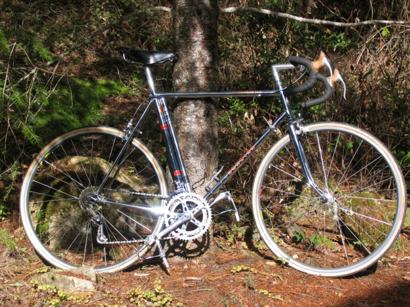 schwinn voyageur 11.8