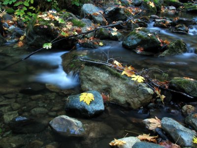 Little Grider Creek autumn scene