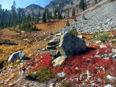 Fall colors along PCT near Man Eaten Pass, and Kelly