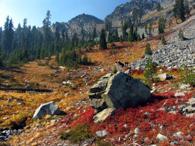 Fall colors along PCT near Man Eaten Pass, and Kelly