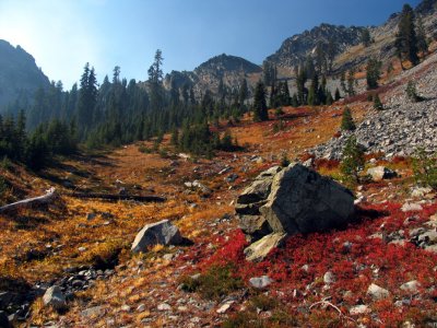 Fall colors along PCT near Man Eaten Pass