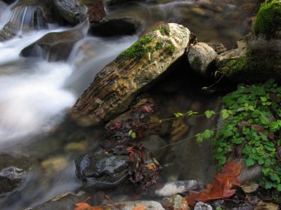Grider creek shore rock