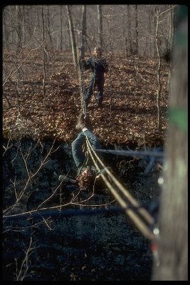 Bear on the Traverse across Panther's Den,