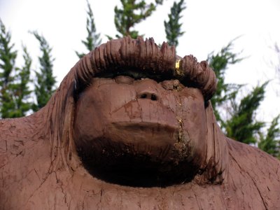 Bigfoot's face