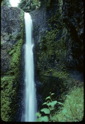 Tunnel Falls 1977