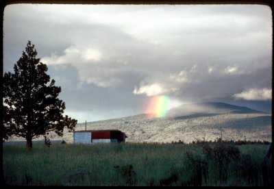 Rainbow on Sheep Mtn