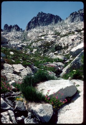 Trinity Alps High Route and Grey Rock Pass