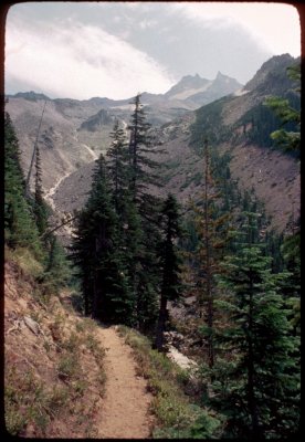 Mt Jefferson from the PCT 1977-Russell Creek