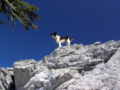 Kelly on Marble Mountain