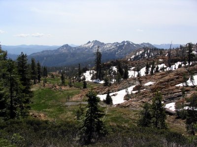 Big Marshy meadows