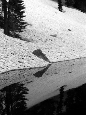 Section Line lake reflections BW