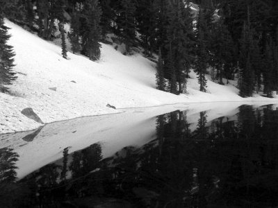 Section Line lake reflections BW