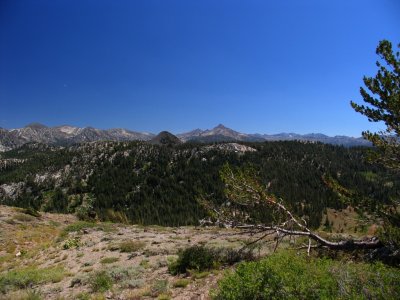 View south towards Sonora Pass