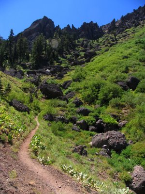 South of Ebbetts Pass