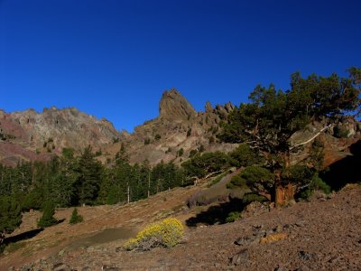 Near Pennsylvania creek