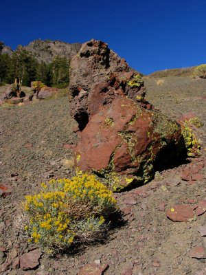 Rock and sagebrush