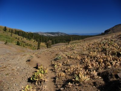 North of Carson Pass near Truckee river valley