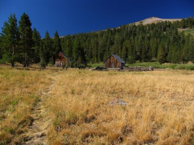 Meiss meadow homestead