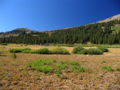 Meiss meadow homestead