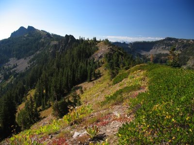 Twin Peaks, view south