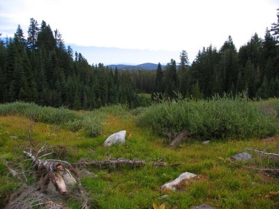 Scenery is changing from rocks to forest