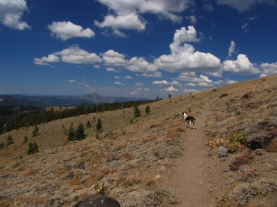 First view of Sierra Buttes