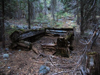 Old log cabin walls along Milton Creek