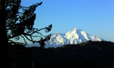 Mt Shasta seen from the PCT