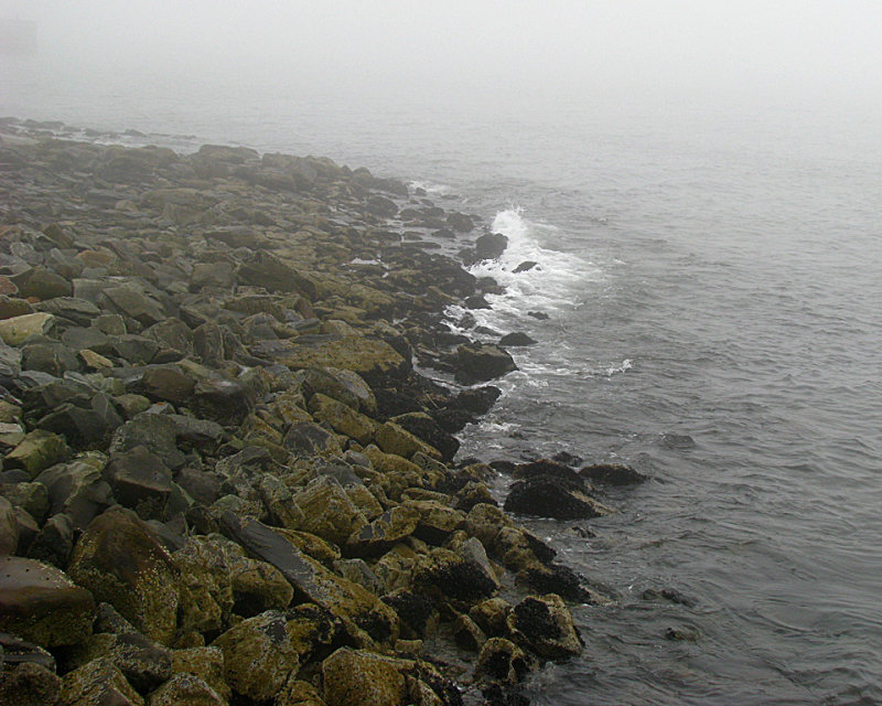 Halifax Fog <br>The Beach 2