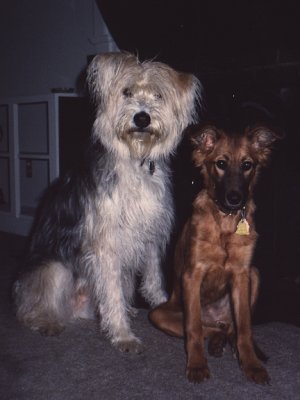 Sir John  Left Us 1/5/95& Ginger Left Us 11/16/01