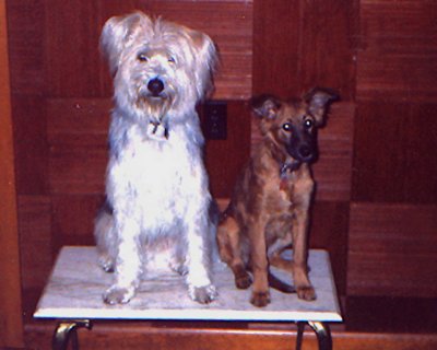 Young John & Ginny