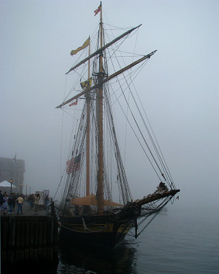 Halifax Fog Tall Ship at the Wharf