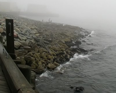 Halifax Fog The Beach 1